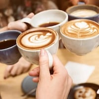Enzymatic Plant-Based Drink Solutions