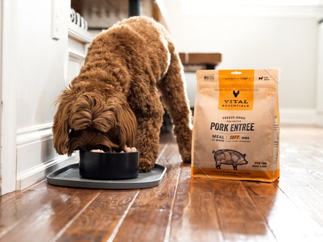 Rehydrated Pet Foods