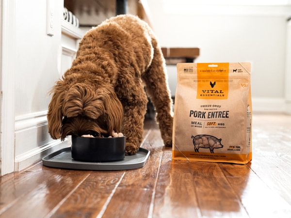 Rehydrated Pet Foods