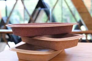 Blueberry Pomace Fibre Trays Article Thubnail