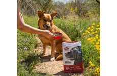 Dog Kibble Expansions Article Thumbnail