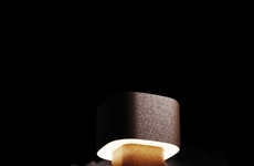 Glowing Organic-Waste Sustainable Lamps