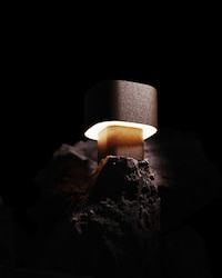 Glowing Organic-Waste Sustainable Lamps Image 1