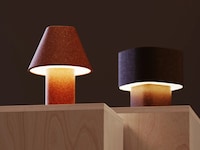 Glowing Organic-Waste Sustainable Lamps Image 2