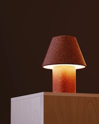 Glowing Organic-Waste Sustainable Lamps Image 4
