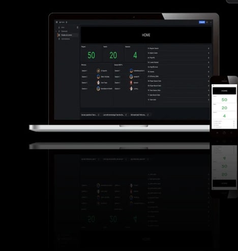 Custom Analytics Platforms
