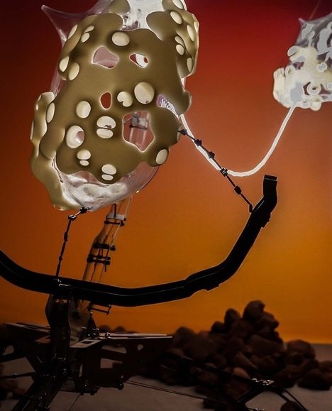 Fungi-Inspired Multidisciplinary Art Projects