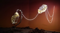 Fungi-Inspired Multidisciplinary Art Projects Image 2