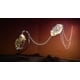 Fungi-Inspired Multidisciplinary Art Projects Image 2