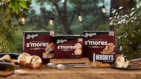Campfire Ice Cream Collections Image 1