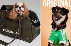 Retro Athletic Pet Accessories