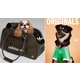 Retro Athletic Pet Accessories Image 1