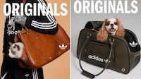 Retro Athletic Pet Accessories Image 2