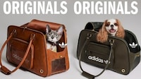 Retro Athletic Pet Accessories Image 3