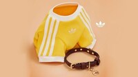 Retro Athletic Pet Accessories Image 6