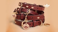 Retro Athletic Pet Accessories Image 7