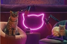 Feline-Hosted Podcasts