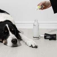Canadian Pet Care Companies