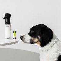 Canadian Pet Care Companies Image 2