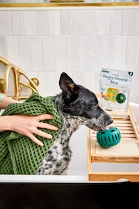 Enriching Dental Mixes