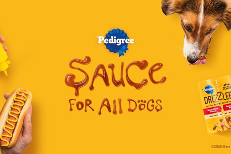 Dog-Friendly Kibble Sauces