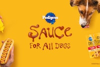 Dog-Friendly Kibble Sauces Image 1