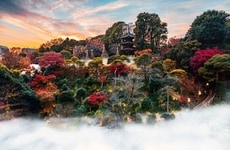 Seasonal Hospitality Programs