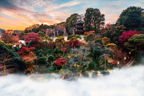 Seasonal Hospitality Programs
