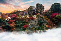 Seasonal Hospitality Programs