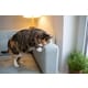 Pet-Safe Pheromone Solutions Image 1
