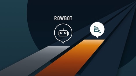 Personalized Rowing Companions