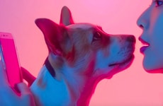 Interactive Pet Education