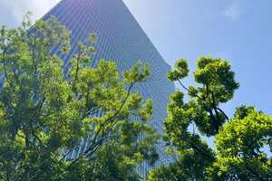 Energy Management Initiatives Article Thubnail