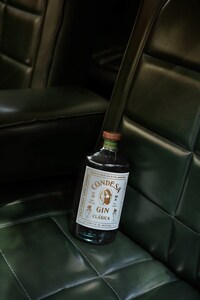 Award-Winning Gin Expressions Image 1