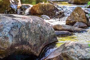 Sustainability Target Approvals Article Thubnail