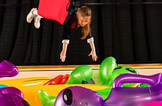 Immersive Oversized Crane Games