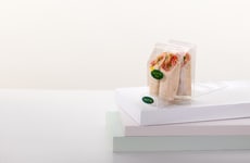 Reduced Plastic Sandwich Packaging