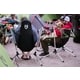 Luxury Comfort Camping Chairs Image 4