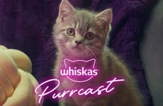 Cat Pet-Care Podcasts