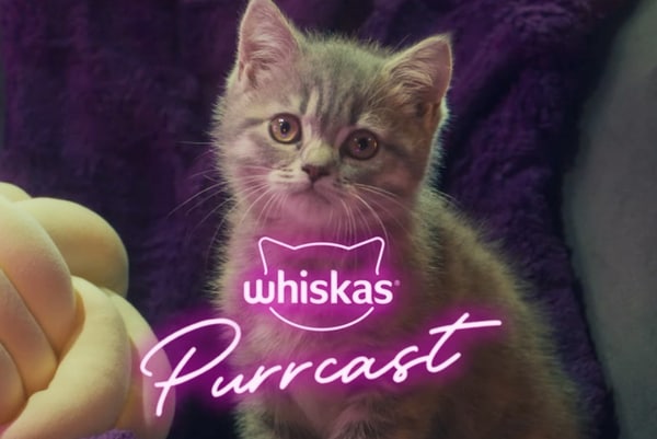 Cat Pet-Care Podcasts
