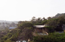 Tree-Surrounded Mud-Walled Residences