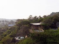 Tree-Surrounded Mud-Walled Residences