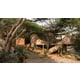 Tree-Surrounded Mud-Walled Residences Image 3