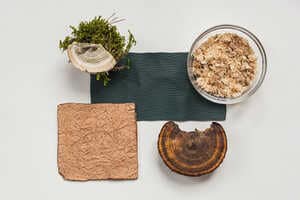 Bio-Based Consumer Products Article Thubnail