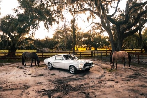 Inaugural Custom Mustang Ranges