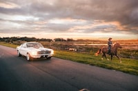 Inaugural Custom Mustang Ranges Image 2