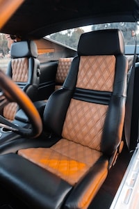 Inaugural Custom Mustang Ranges Image 4