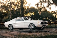 Inaugural Custom Mustang Ranges Image 5