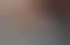 Concept Store Expansions