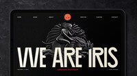 Creative Network Rebrands Image 4
